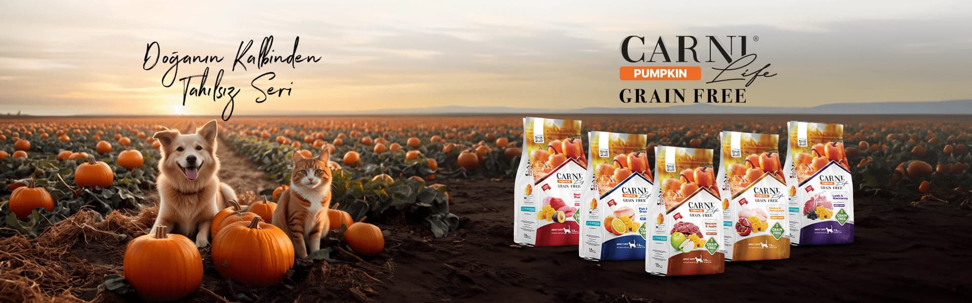 Fi PetFood banner